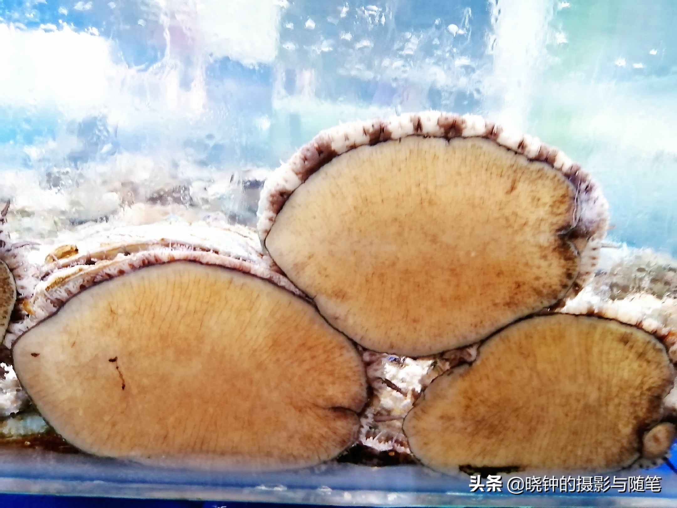 岘港最好吃的海鲜餐厅,岘港海鲜