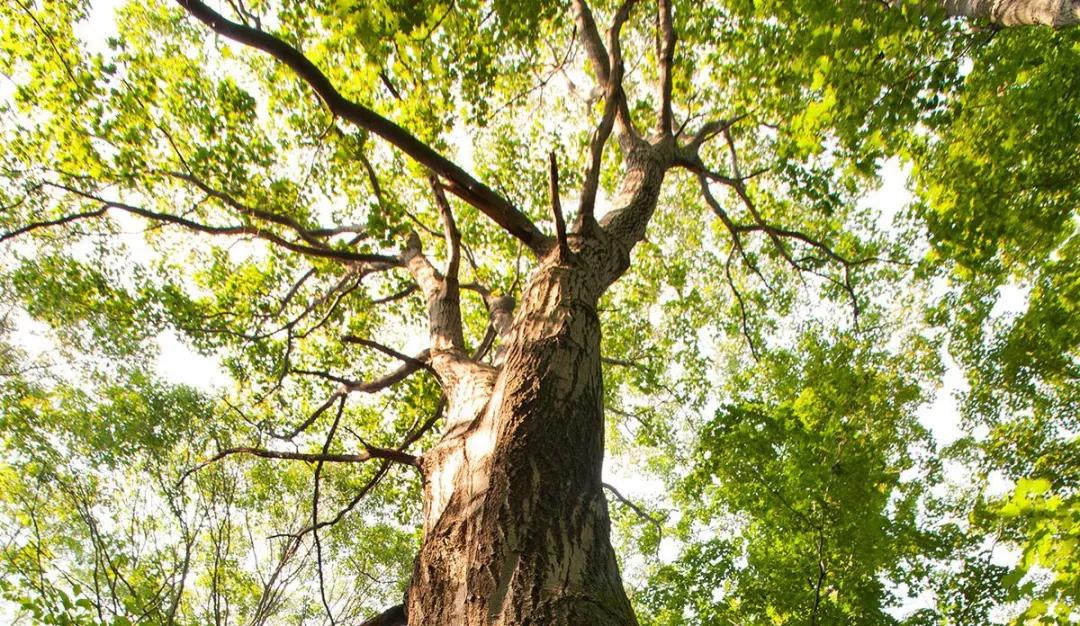 葡萄酒达人速成,葡萄酒达人推荐