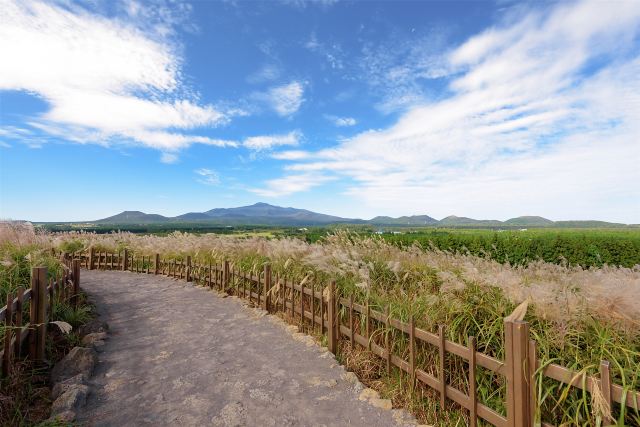 济州岛大长今拍摄地详细地址,济州岛十大景点图片高清