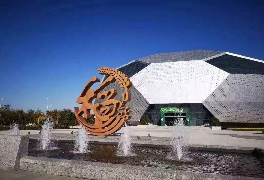 是什么让越来越多的年轻人爱上津南,留在津南!