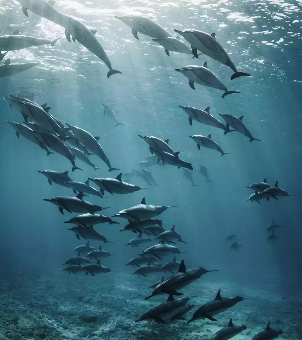 在吸引村上春树买房养老的海岛呆3天，马代帕劳在我心里降到第二