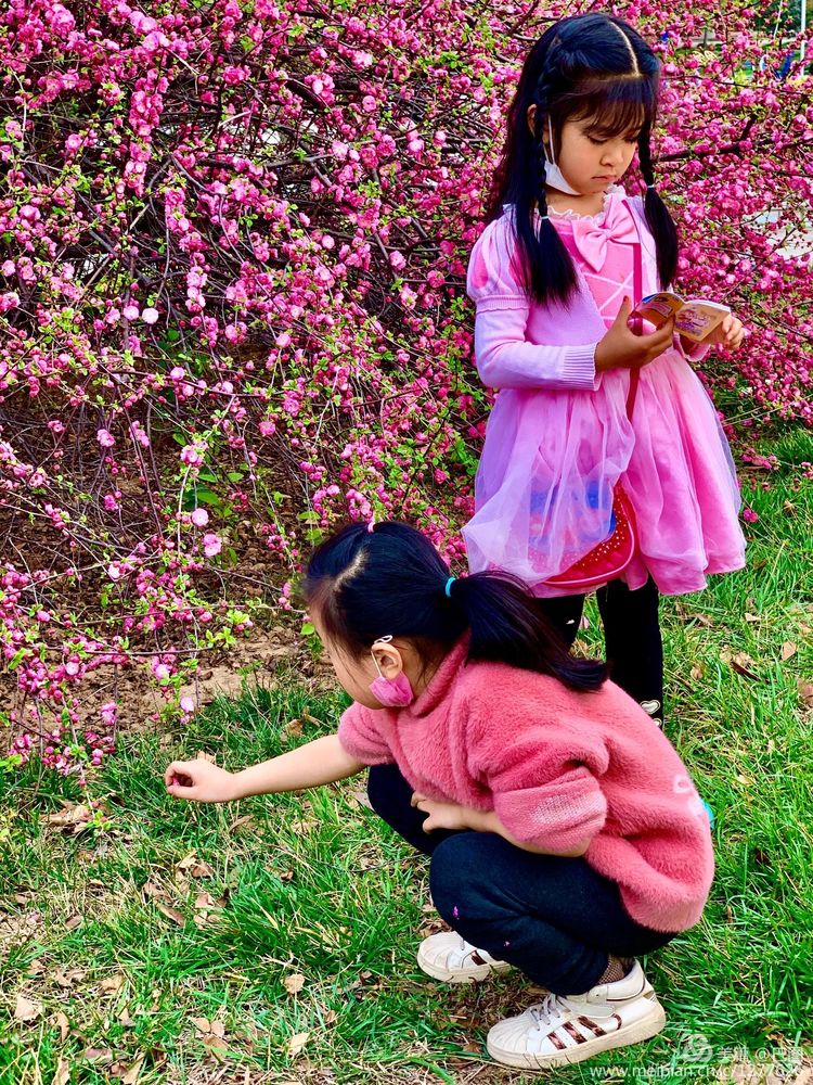 金色童年8张图片,金色的童年相片