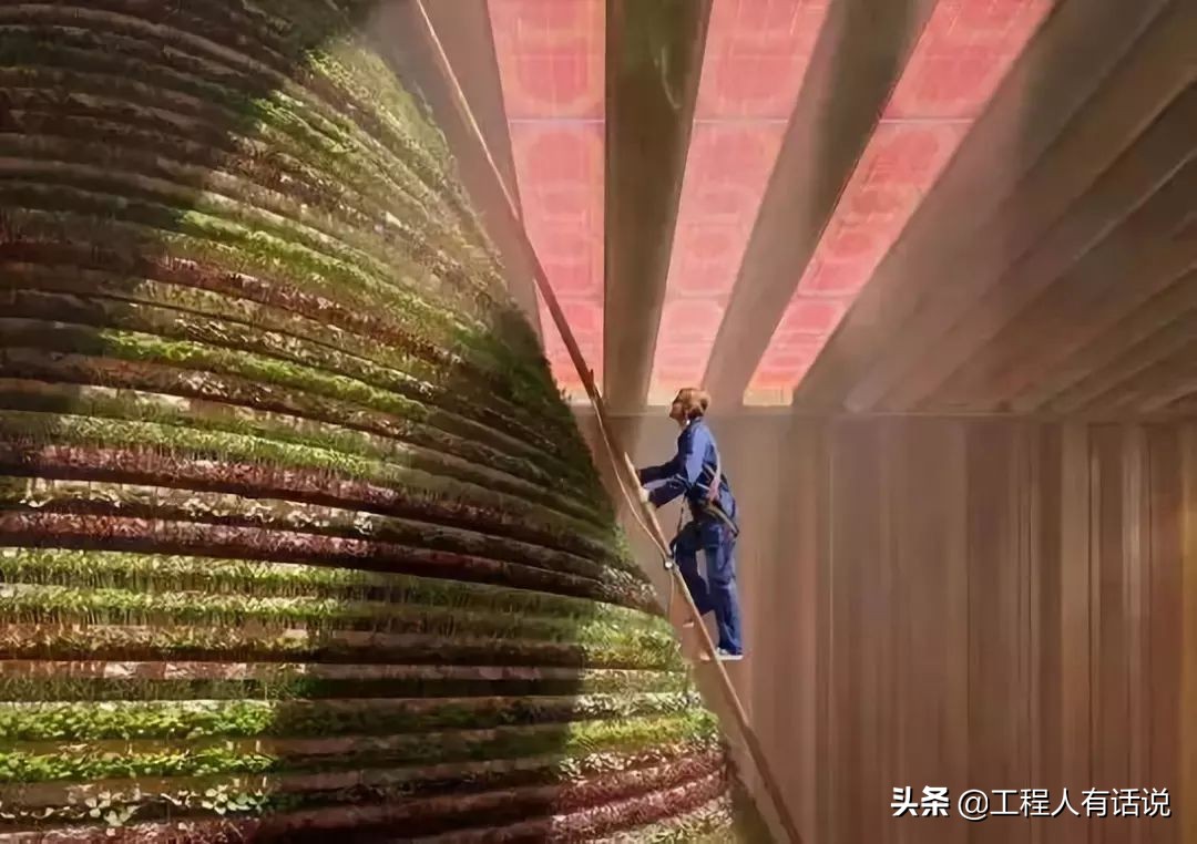 2020迪拜世博会，各国展馆“群魔乱舞”！建筑师的夏天