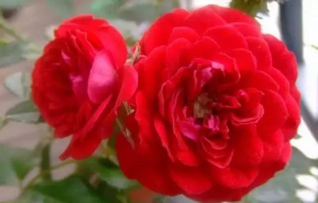 每天学习一点点女性小常识,每天学习一点点科普一下