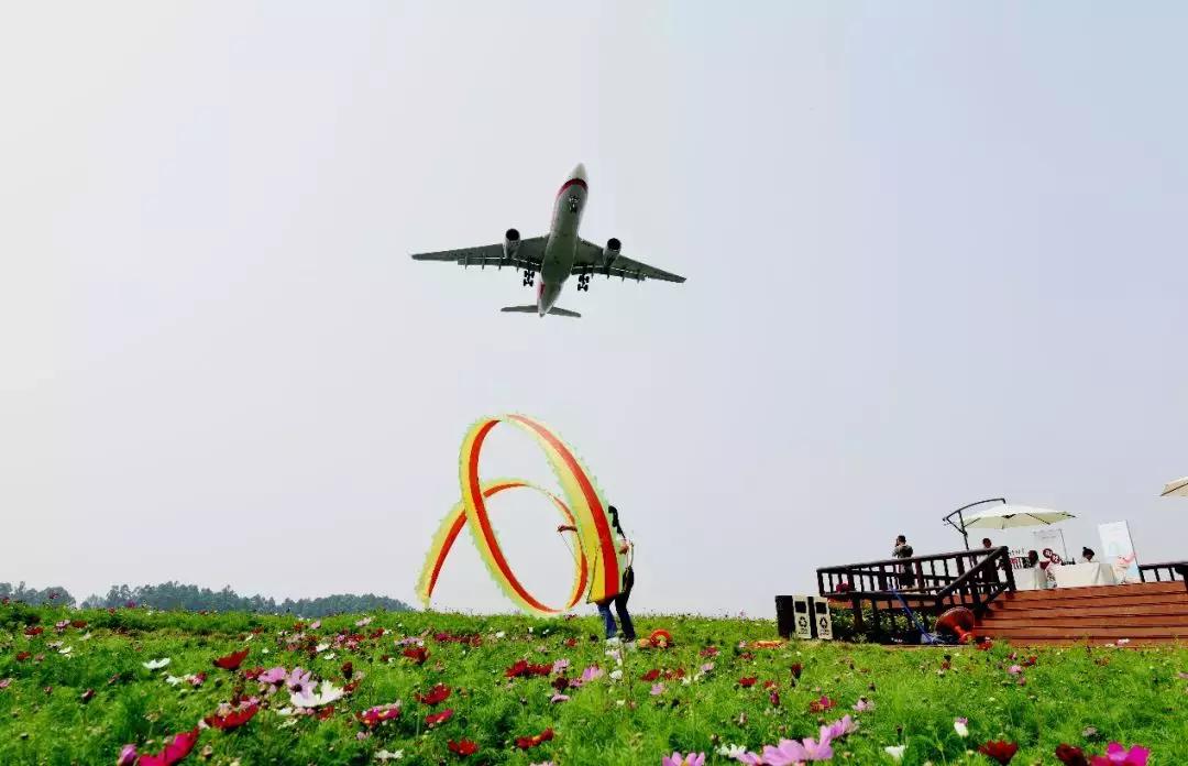 公园项目的正确玩法,公园玩法攻略