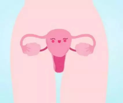 好文收藏|得了妇科病，还能买保险吗？