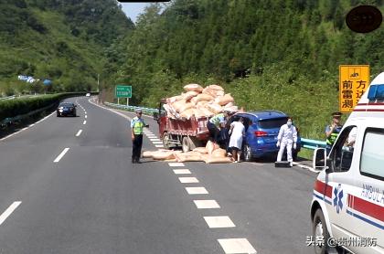 两车相撞一车头严重损毁,两车相撞损毁严重现场一片狼藉