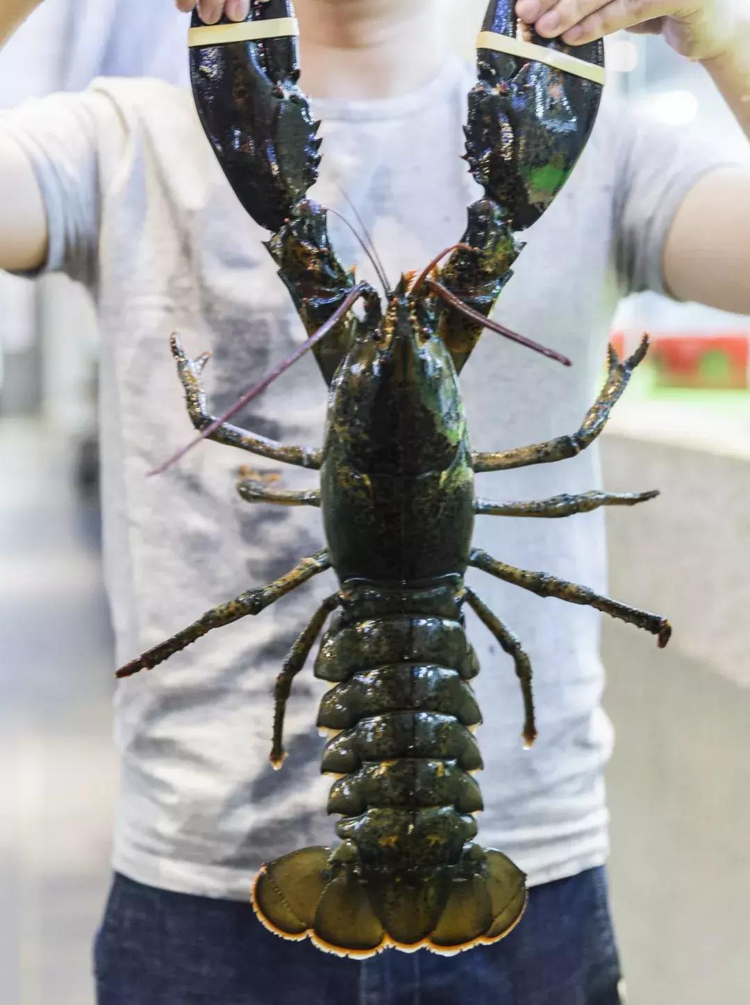 便宜平价美味海鲜,平价海鲜上海