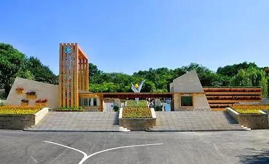 金牛打卡地,金牛区有什么轻松好玩的打卡地