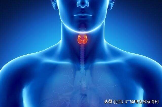 秋冬季出游，别忘妇科关照，《好医生在线》精彩内容抢先看