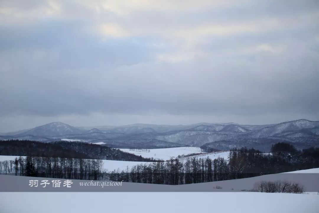 日本10天自由行费用北海道,东京北海道5日自由行攻略