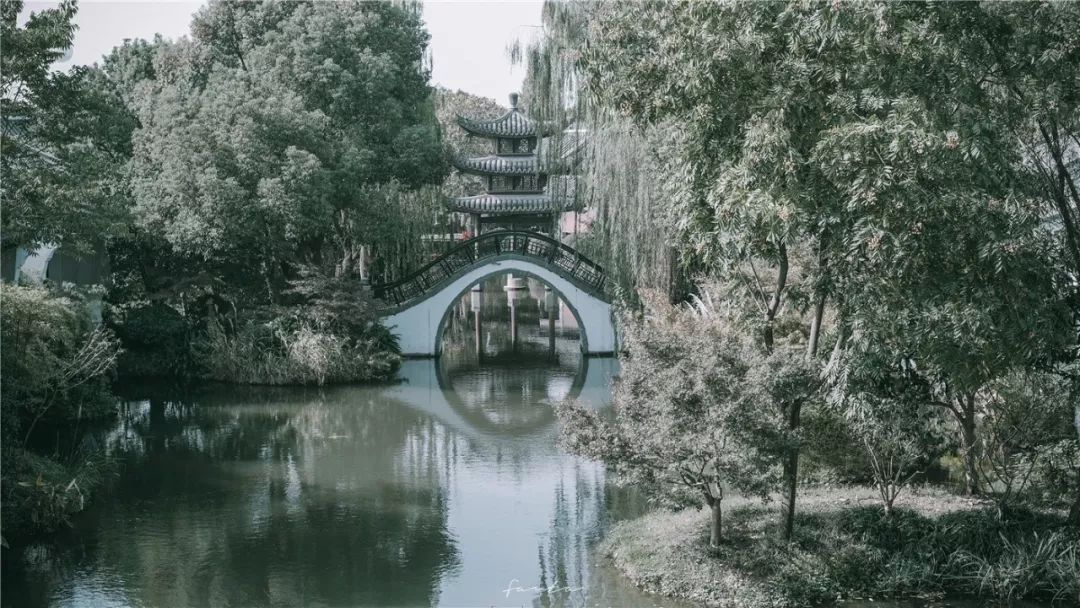 西溪天堂令人沉醉的江南梦境,城市的夜晚江南水乡美如画