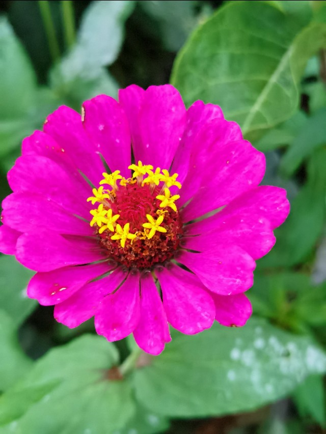 985大学家长求助学校,父母985孩子是学渣怎么开导孩子