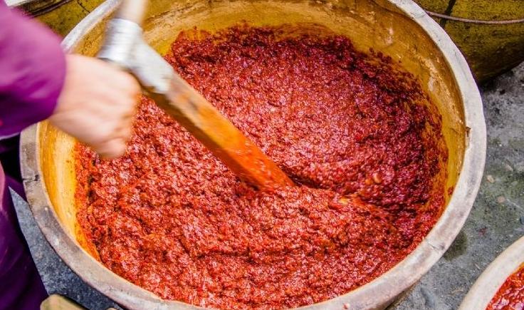 蜀人原乡完整版,三贤故里长寿之乡资阳