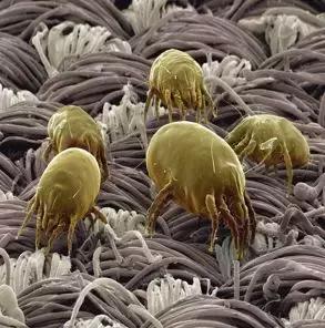 打喷嚏流鼻涕就是不好,打喷嚏假鼻涕