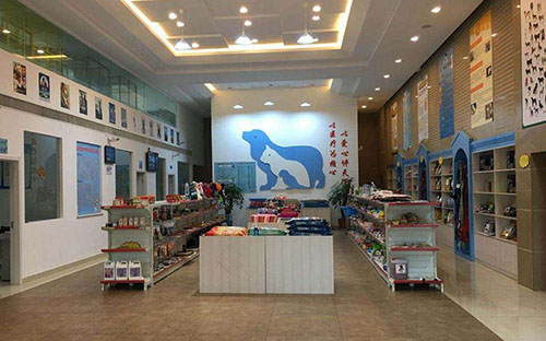 狗狗不爱喝水尿少是什么原因,狗狗大量喝水大量尿肾衰竭