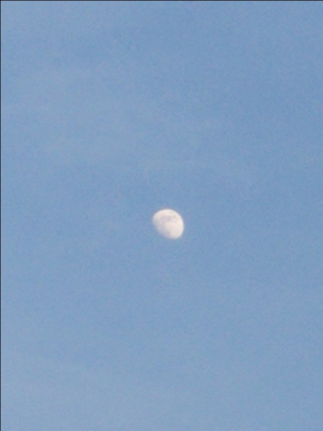 庚子杂吟漫画全集,庚子杂吟全集完整版