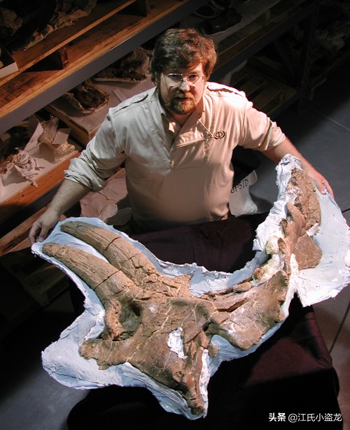 长得跟其他恐龙不一样的恐龙,盘点恐龙界最奇葩的恐龙