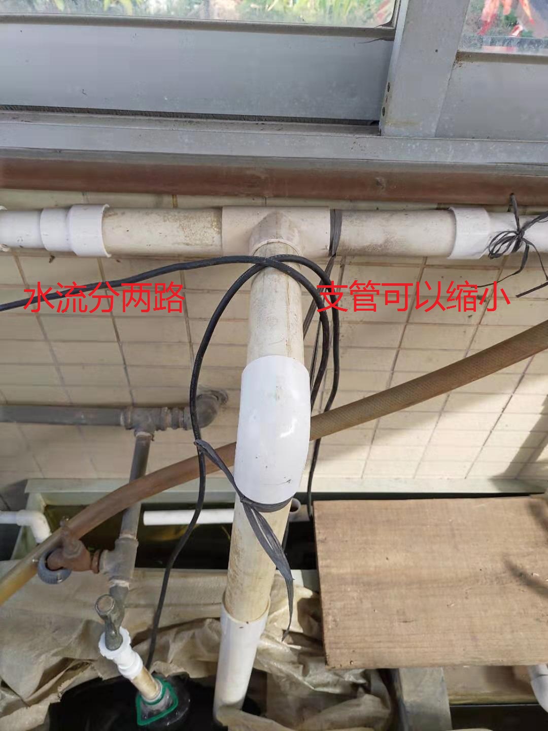 龟菜共生系统,龟菜共生图纸