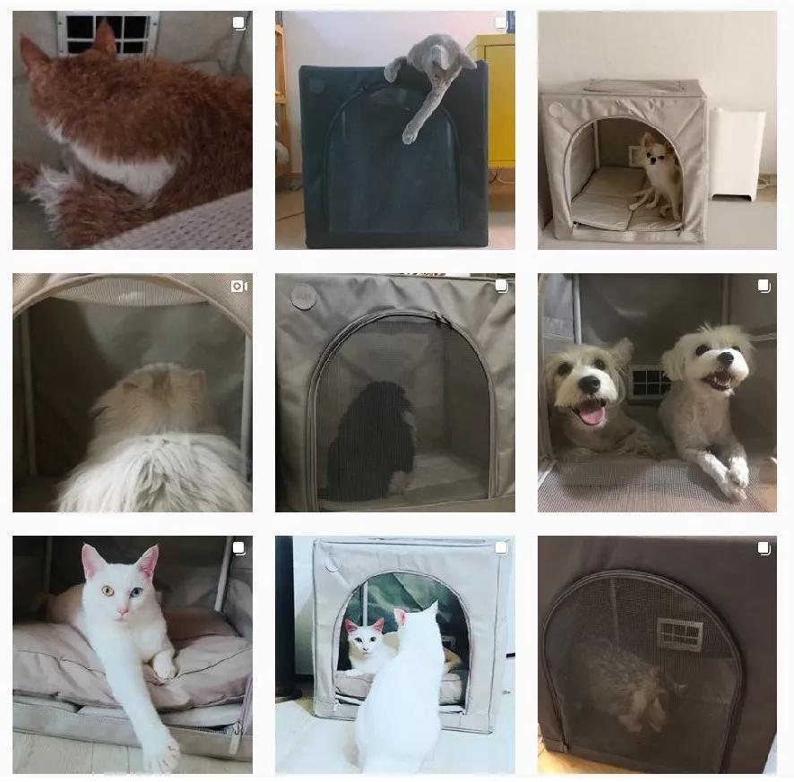 宠物烘干机便捷,宠物烘干机可以烘衣服吗