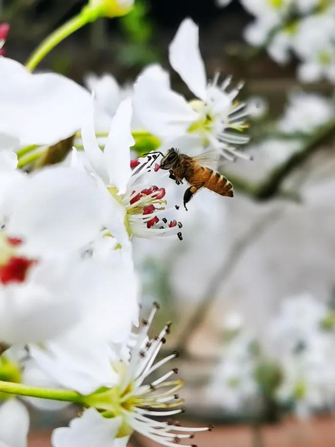 天道酬勤力耕不欺意思相近的词,天道酬勤力耕不欺什么意思
