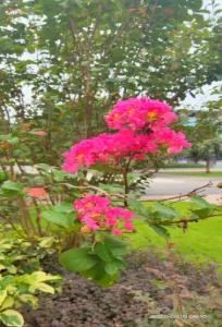 平乐源头二小视频,桂林平乐源头镇二小