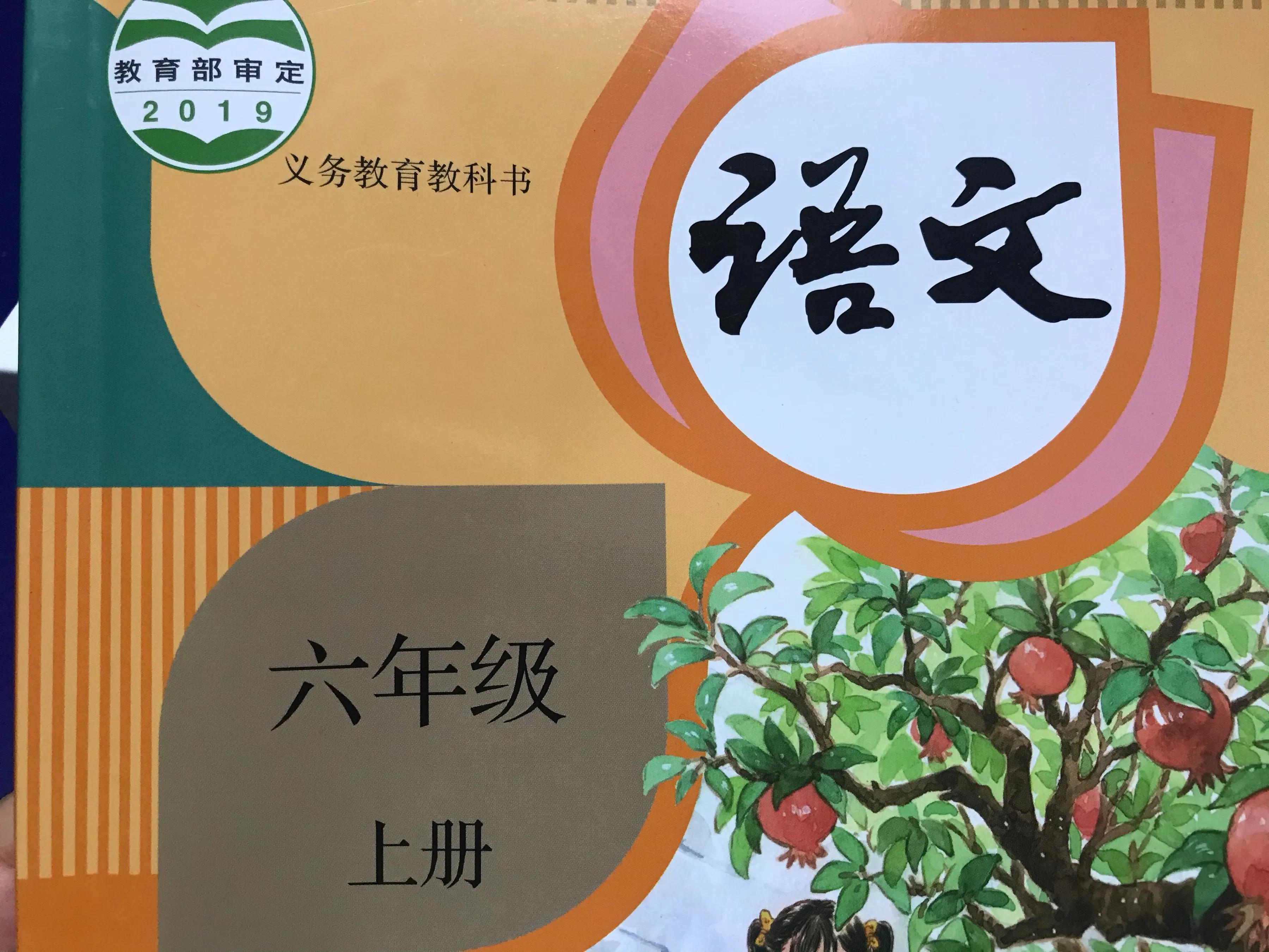 语文手写笔记加讲解,语文课程标准重点手写笔记