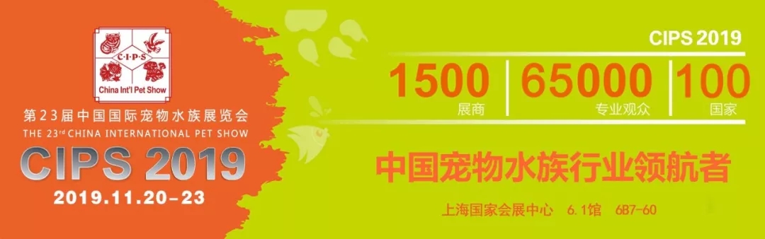 怎么训锦鲤最有效,锦鲤新手必备技巧