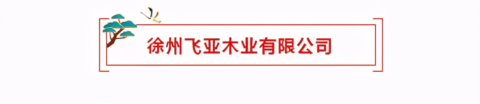 徐州品牌前十名,徐州入选全国1000强镇名单