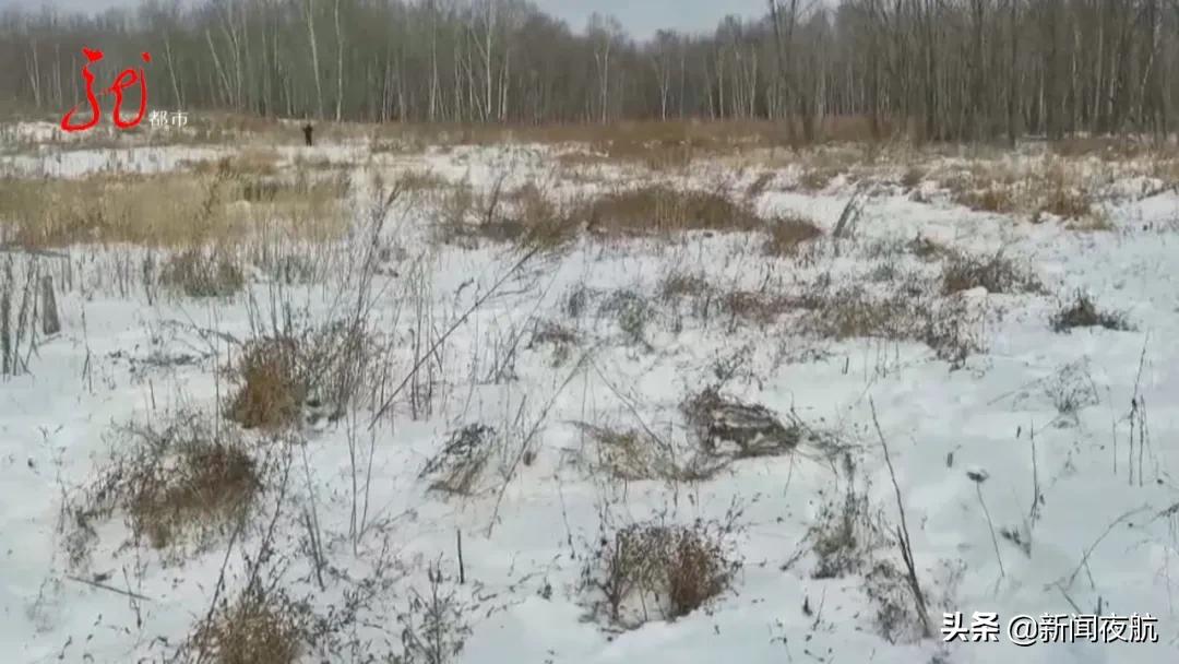 11人足球场占地面积多大,11人制足球场大禁区多大