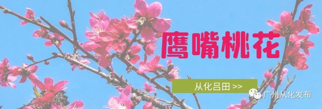 从化吕田美食攻略,从化吕田特色美食有哪些