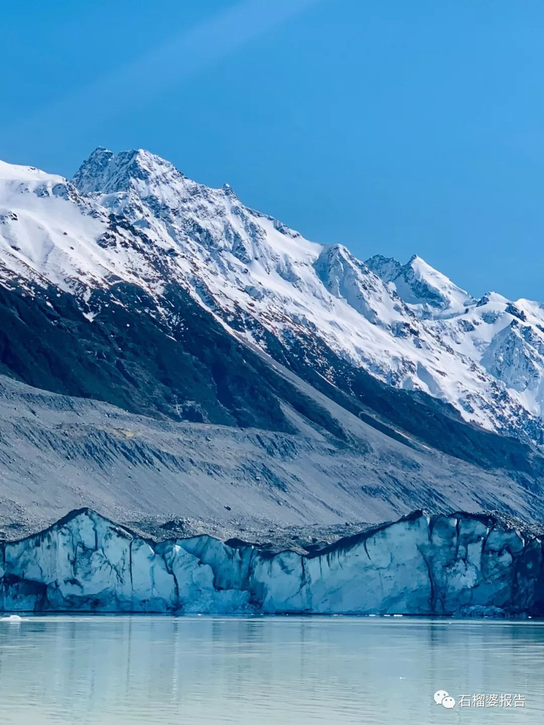 旅行7天,新西兰霍比特人村游记