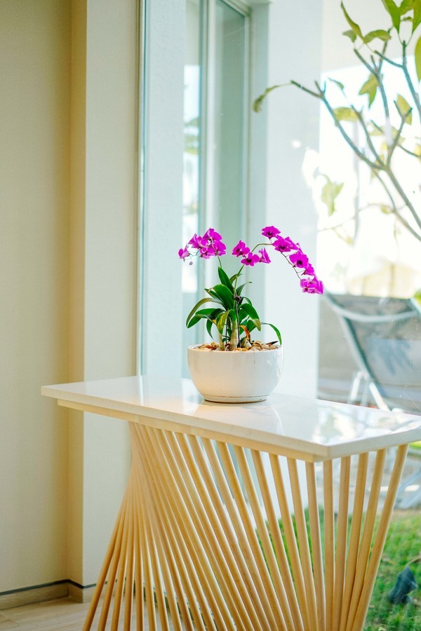 三亚休闲度假旅游攻略推荐,三亚休闲度假旅游攻略