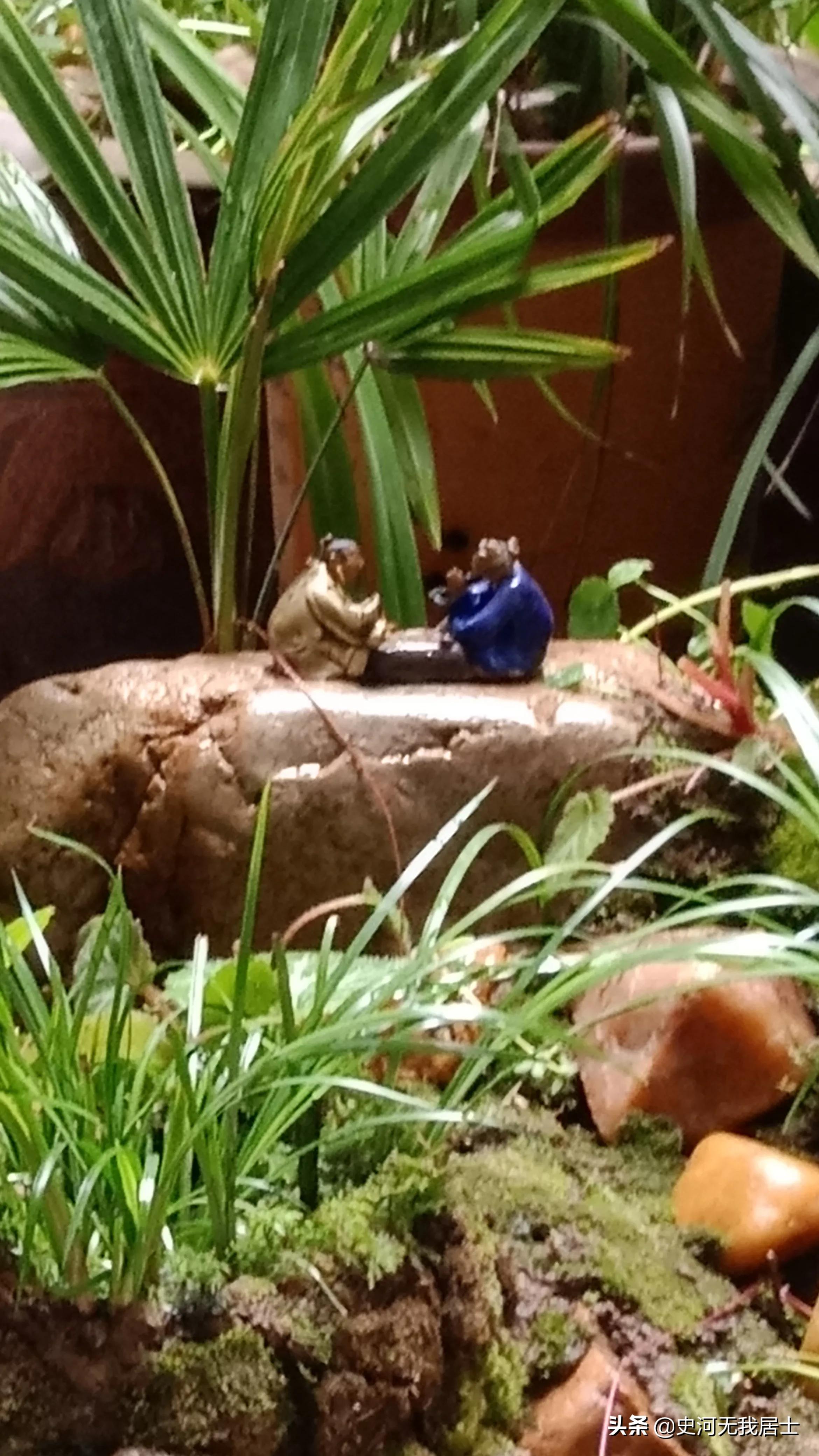 国宝级顶级奇石盛世图腾视频,国宝级奇石有人要吗