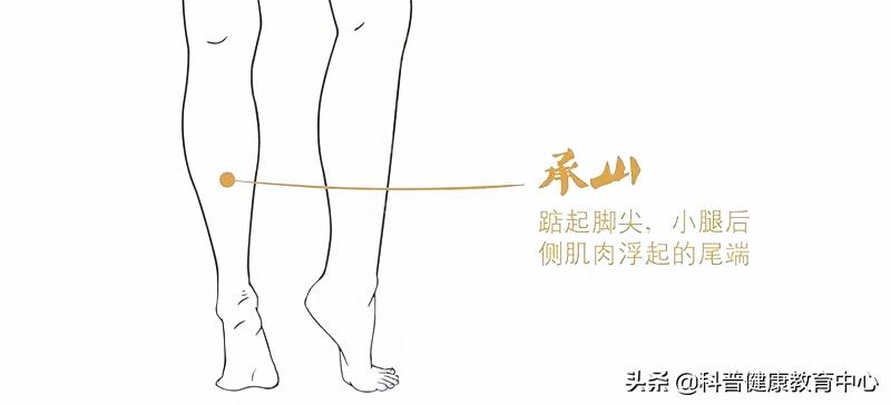 脾虚湿重肥胖吃什么药治疗,脾虚湿重肥胖喝什么