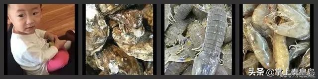 北漂夫妇辞职,北漂夫妻开民宿