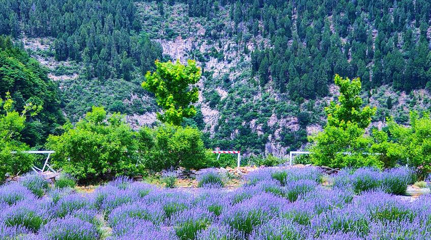娼嶅潑鐢佃鍙伴煩鏅撶劧,闊╂檽鐒舵綅鍧婁富鎸佷汉