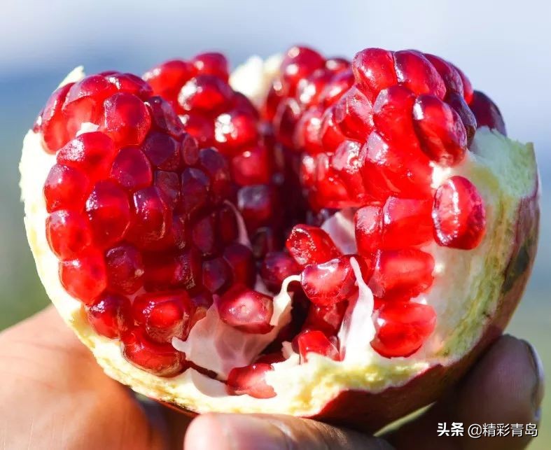 突尼斯软籽石榴真的是很甜很甜,突尼斯软籽石榴口感细腻好吃到爆