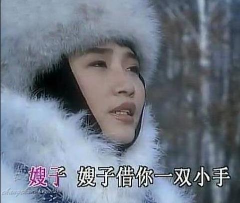 歌手李娜的成名经历简介,歌手李娜在美国出过歌吗