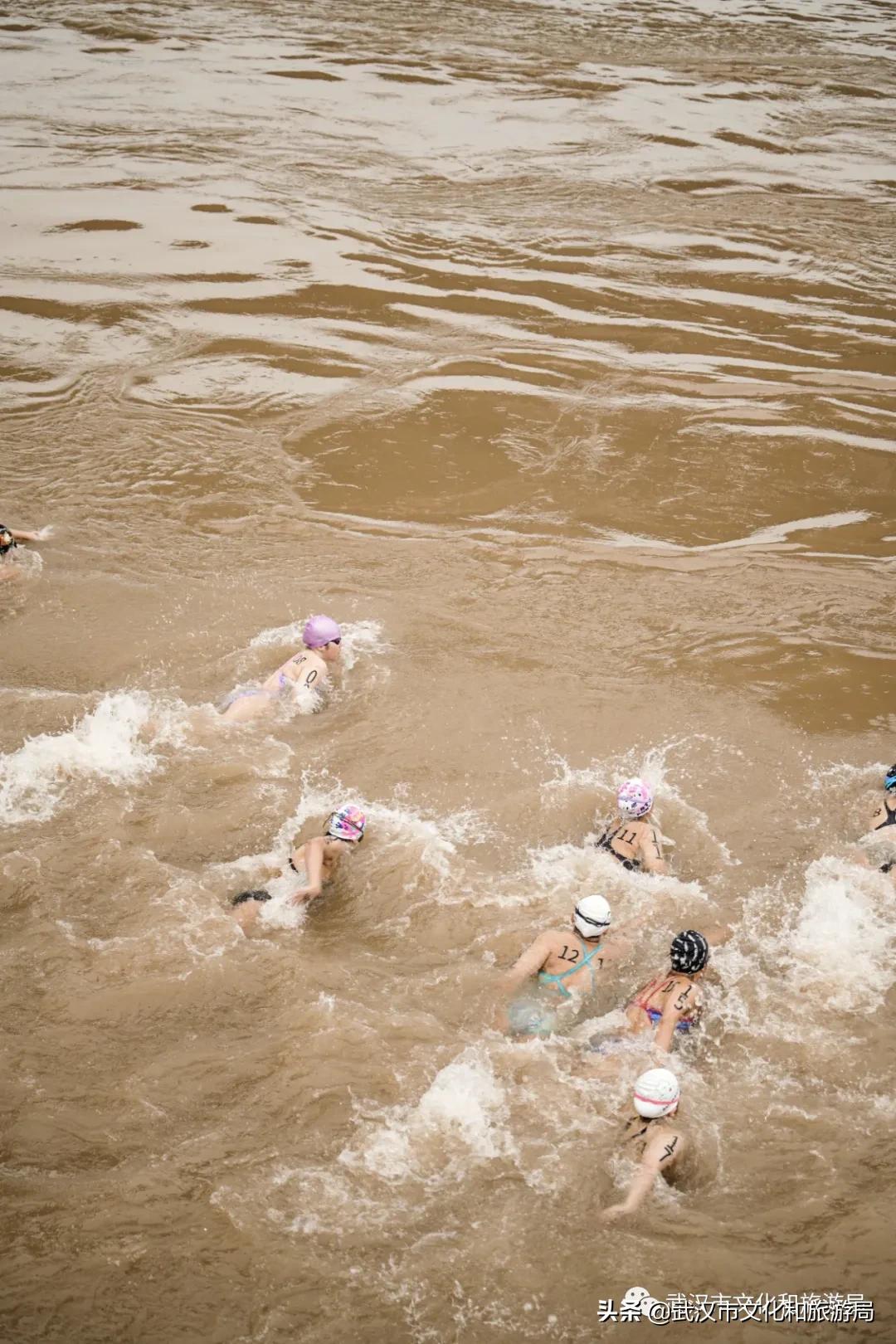 武汉渡江节获奖,3-6岁佩奇