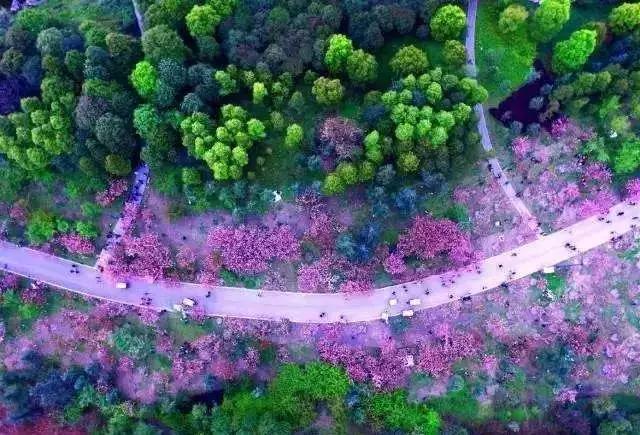 成都青白江未来5年房价图,成都市青白江区房价还会涨吗