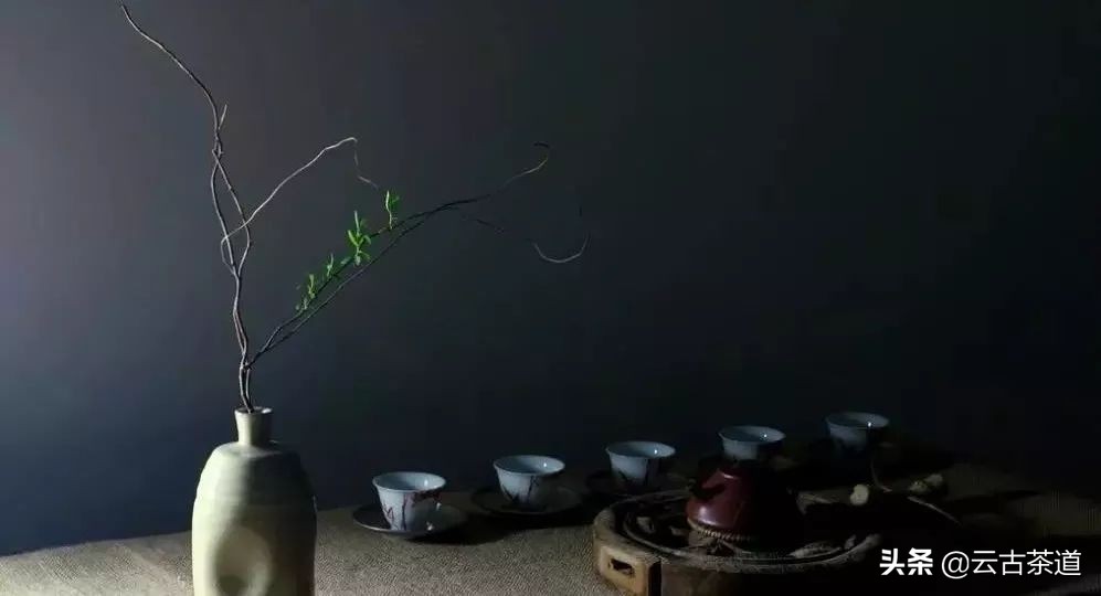 茶叶梗多的茶好吗,究竟是什么茶如此难泡