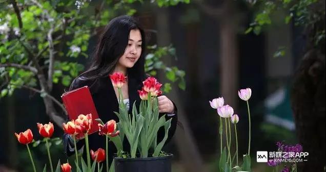 如何打造爆款短视频？教你自媒体十大创作技巧