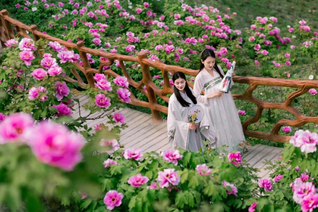 重庆北碚清明节踏青好去处,重庆巴南踏青一日游最佳攻略