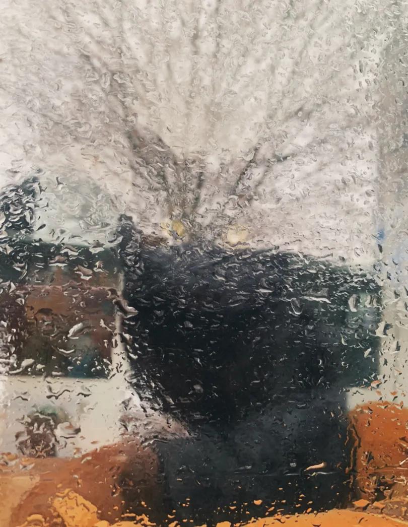 视力不好可以养黑猫吗,眼神不好的千万别养黑猫