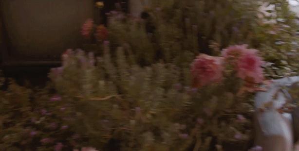 gucci古驰flora经典花之舞女士香水,guccipourhommeii男性淡香水