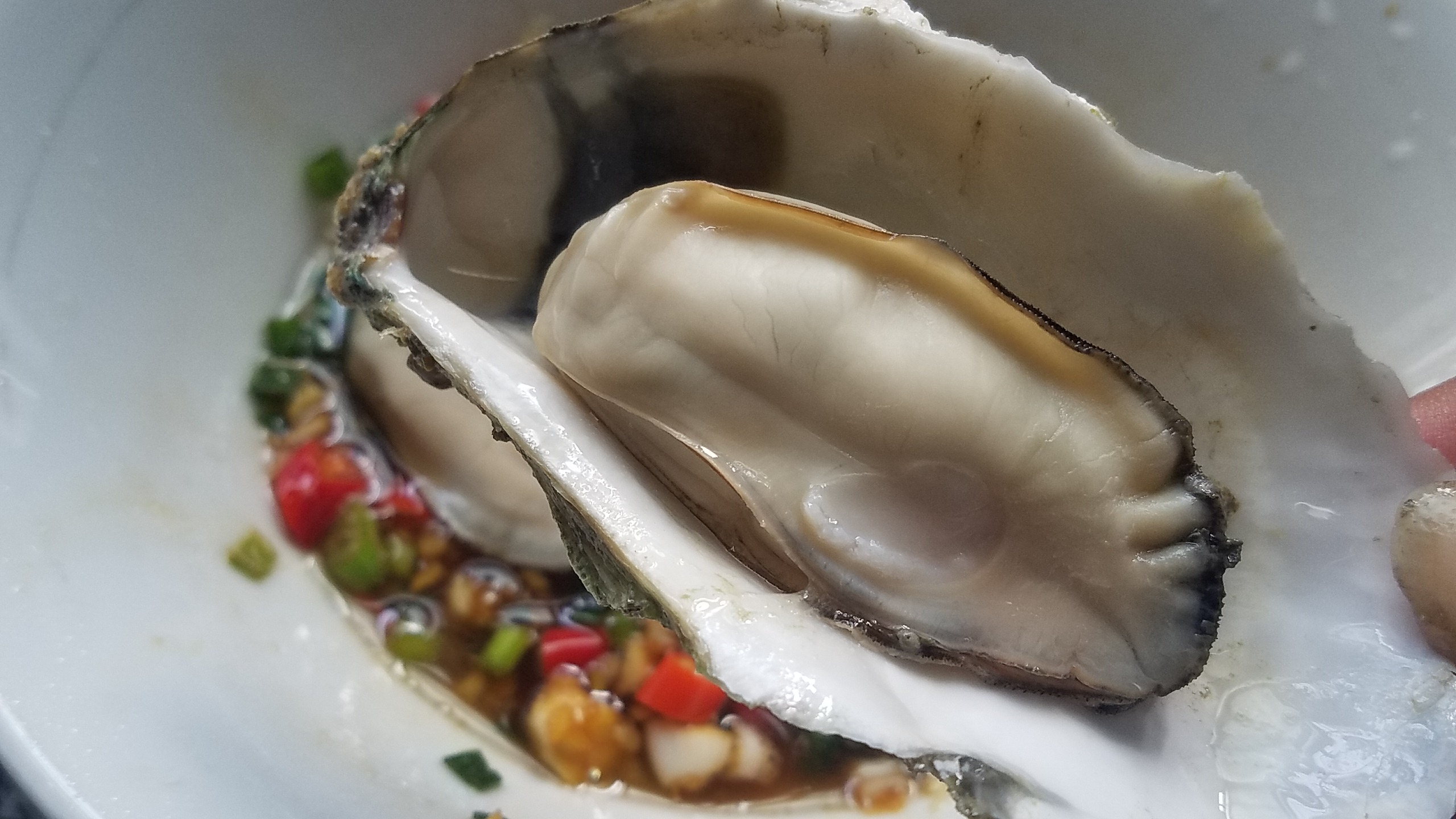 生蚝又好吃又简单的做法,生蚝的多种做法大全