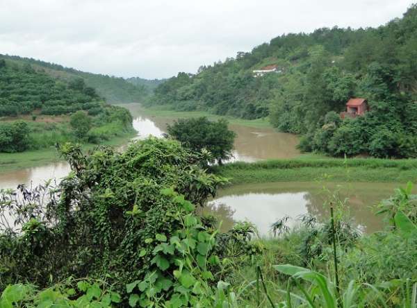 广东钓土鲮鱼用多大的子线和钩子,南宁用什么饵料钓土鲮