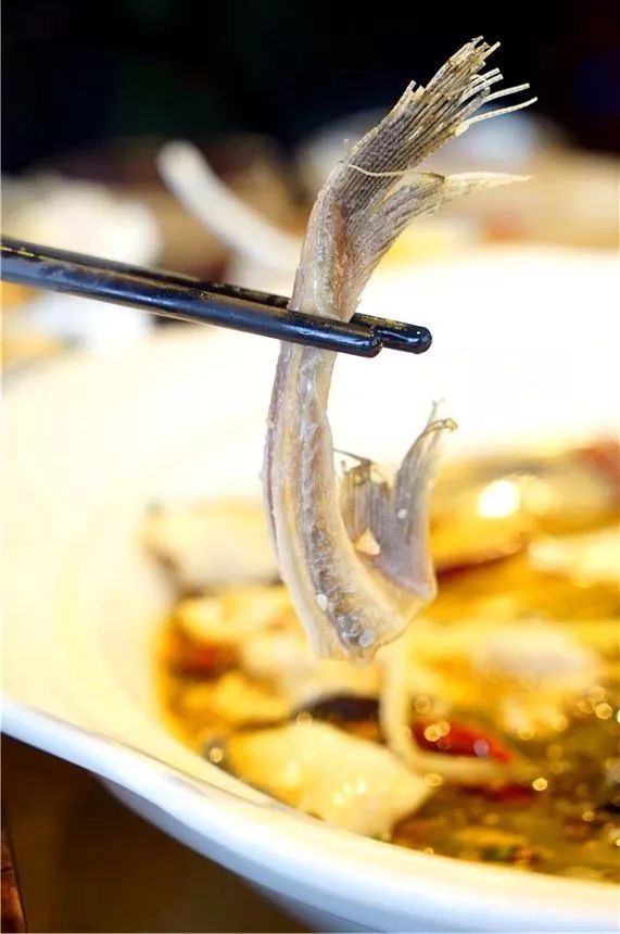 老板疯了五元一桌子菜,老板疯了系列零食