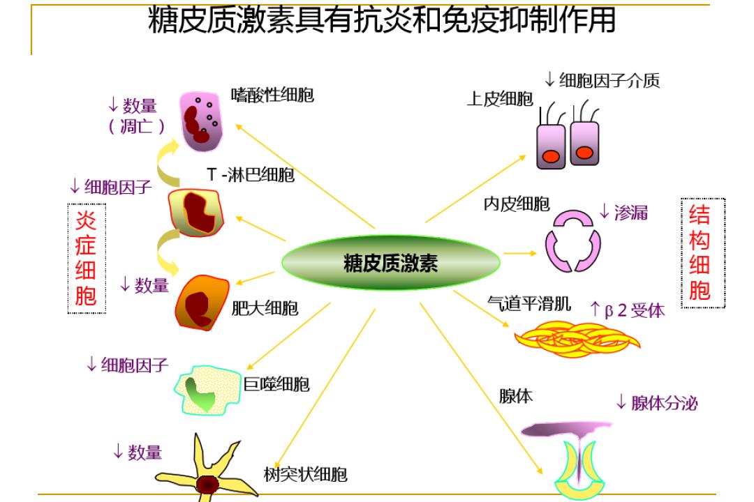 激素依赖性皮炎擦哪种药膏好,脸部过敏性皮炎十大药膏不含激素